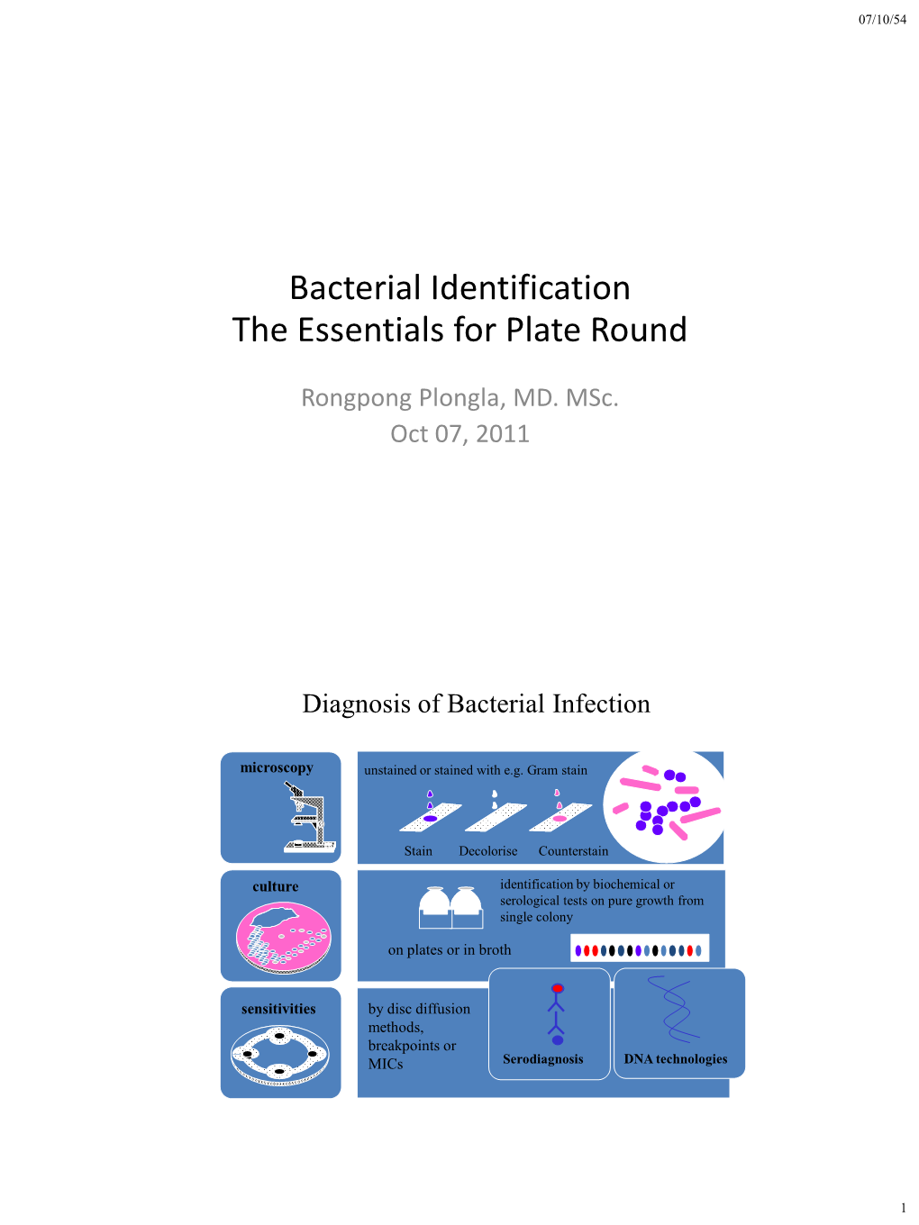 Bacterial Identification Tips & Tricks for Plate Round