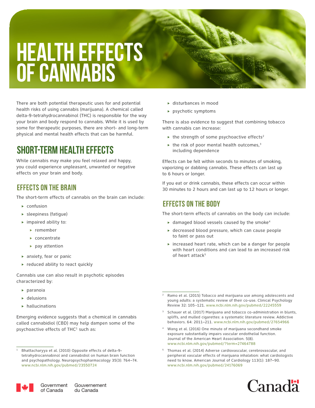 Health Effects of Cannabis