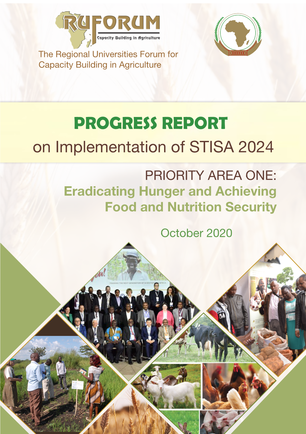 PROGRESS REPORT on Implementation of STISA 2024