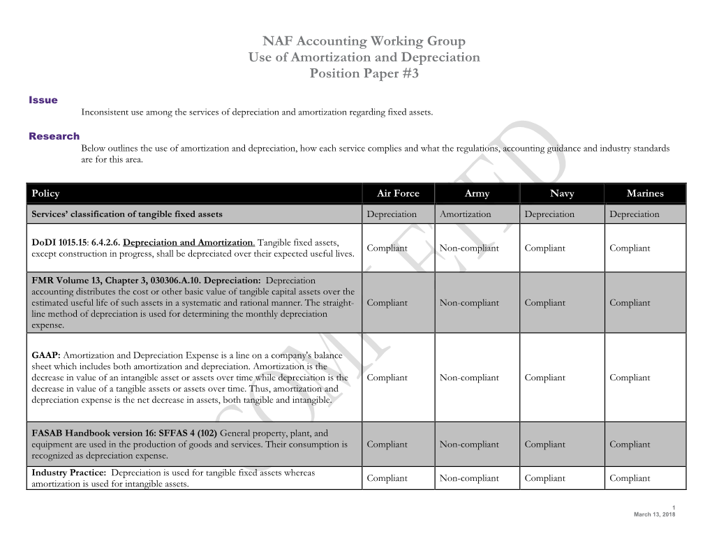 NAF Accounting Working Group Use of Amortization and Depreciation Position Paper #3