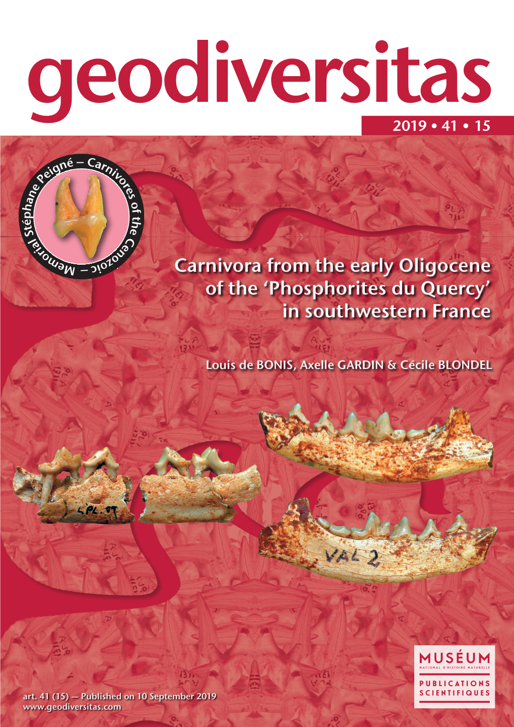 Carnivora from the Early Oligocene of the ‘Phosphorites Du Quercy’ in Southwestern France