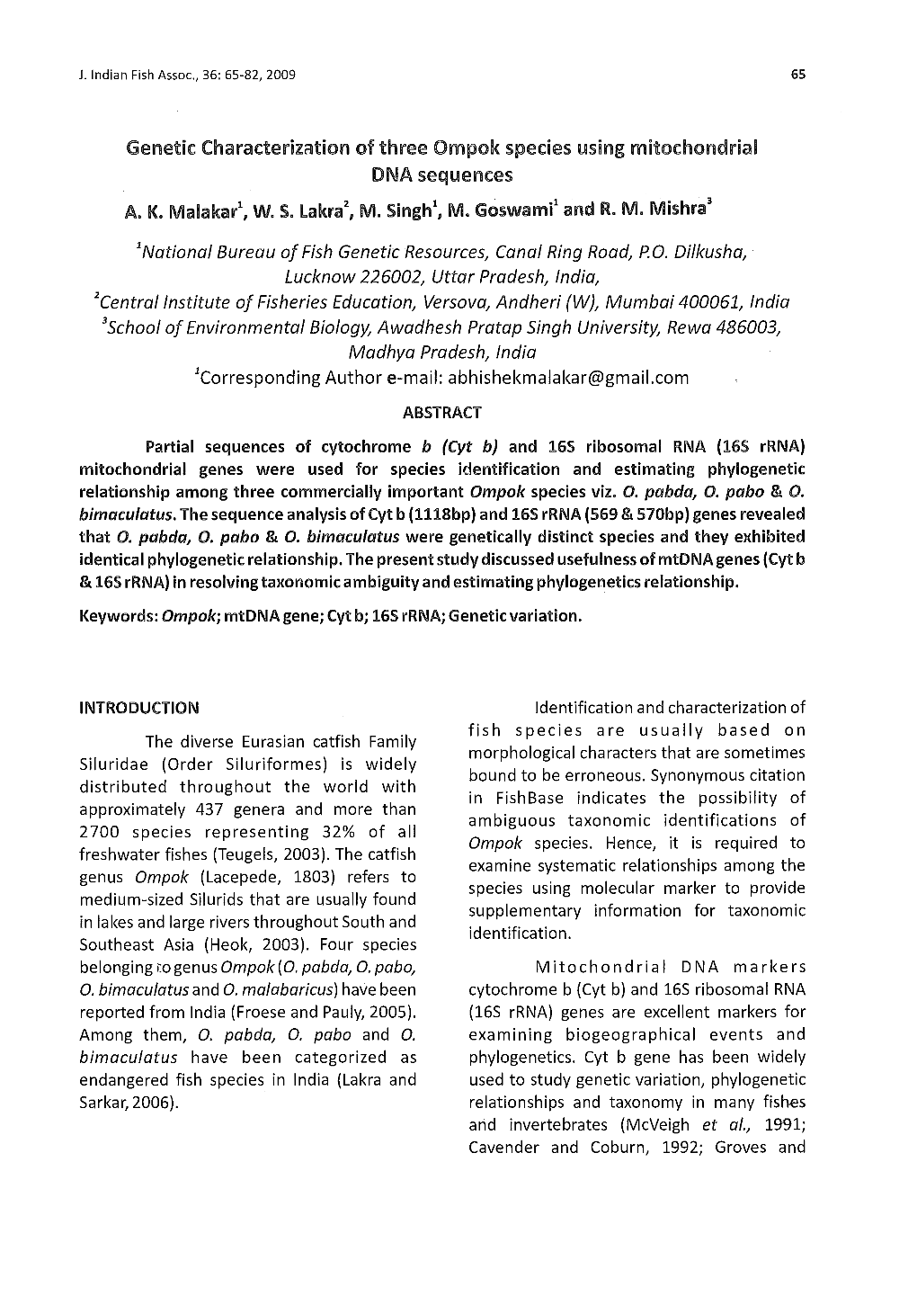 Genetic Characterization of Three Ompok Species Using Mitochondrial