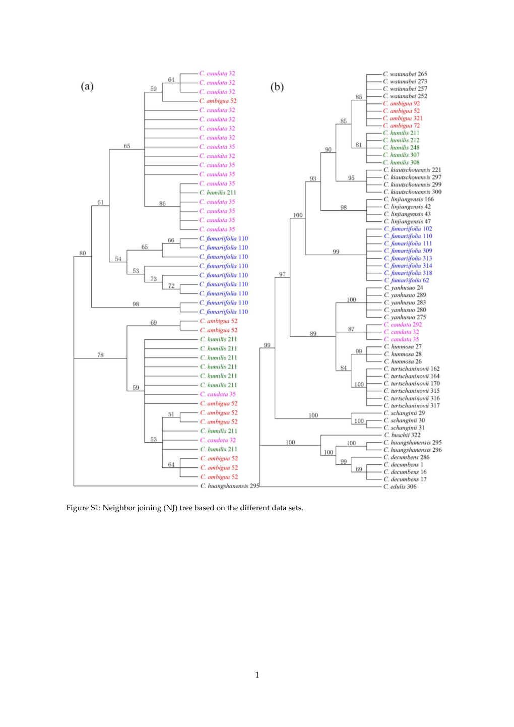 Neighbor Joining (NJ) Tree Based on the Different Data Sets