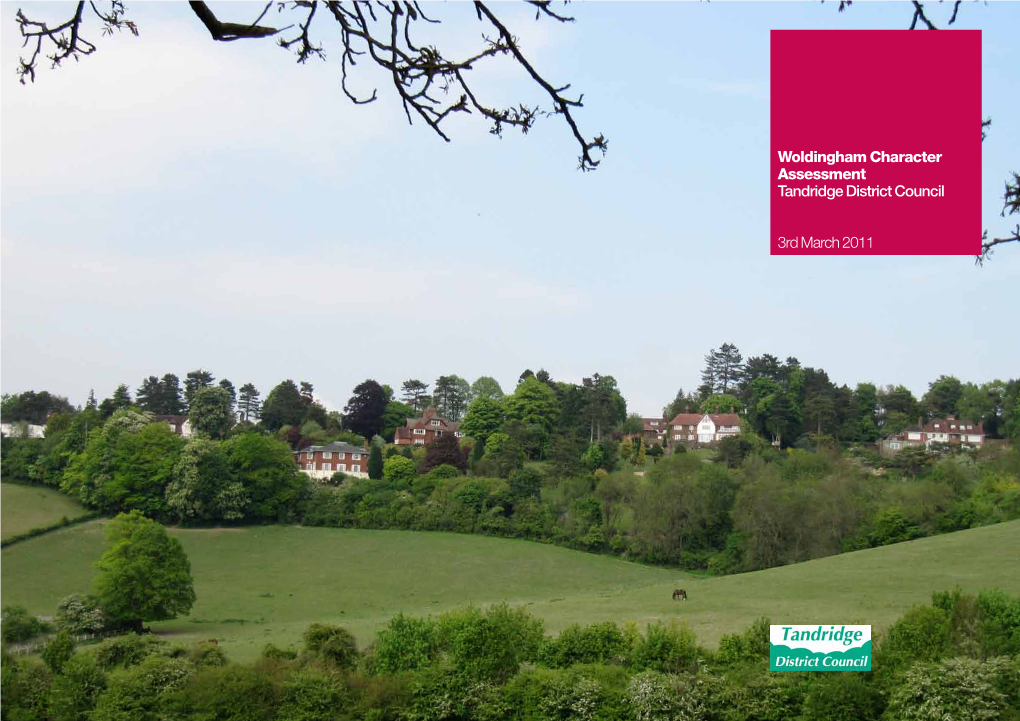 Woldingham Character Assessment Tandridge District Council 3Rd