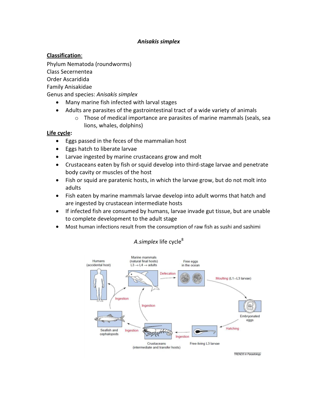 Anisakis Simplex Classification: Phylum Nematoda (Roundworms