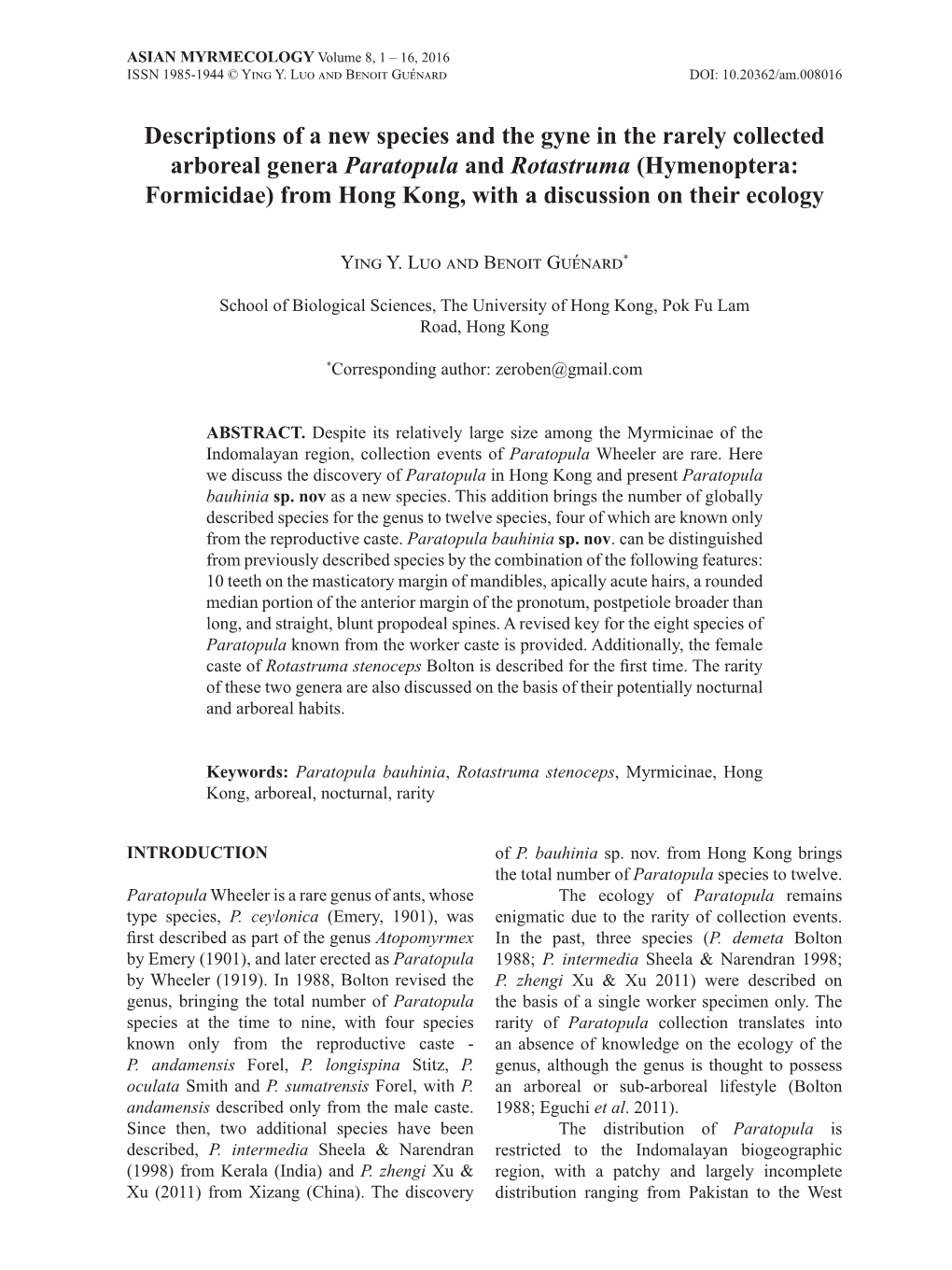 Descriptions of a New Species and the Gyne in the Rarely Collected Arboreal Genera Paratopula and Rotastruma (Hymenoptera: Formi