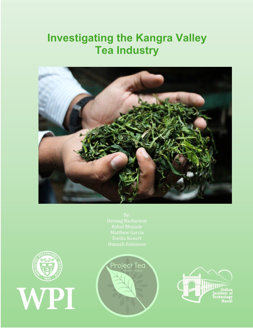 Investigating the Kangra Valley Tea Industry
