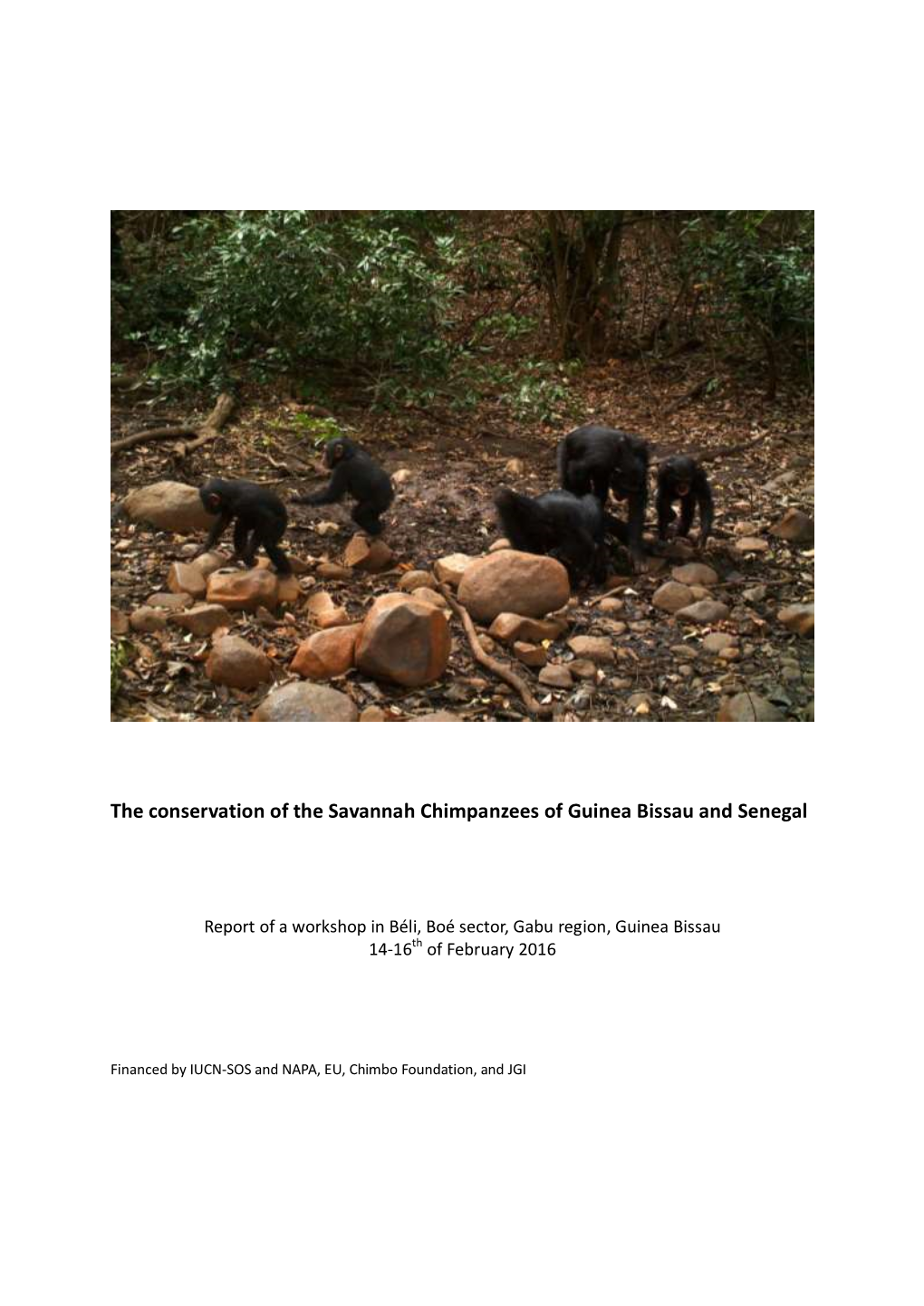 The Conservation of the Savannah Chimpanzees of Guinea Bissau and Senegal