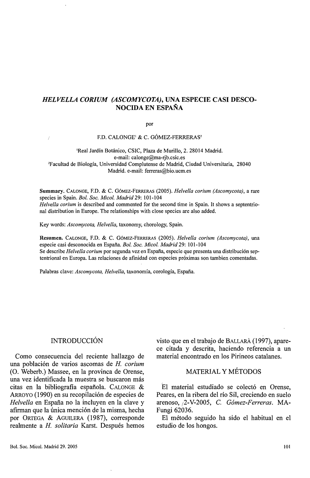 Helvella Corium (Ascomycota), Una Especie Casi Desco­ Nocida En España