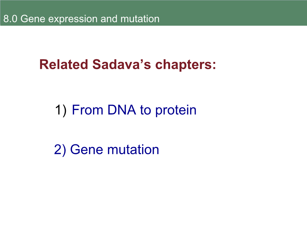 1) from DNA to Protein 2) Gene Mutation