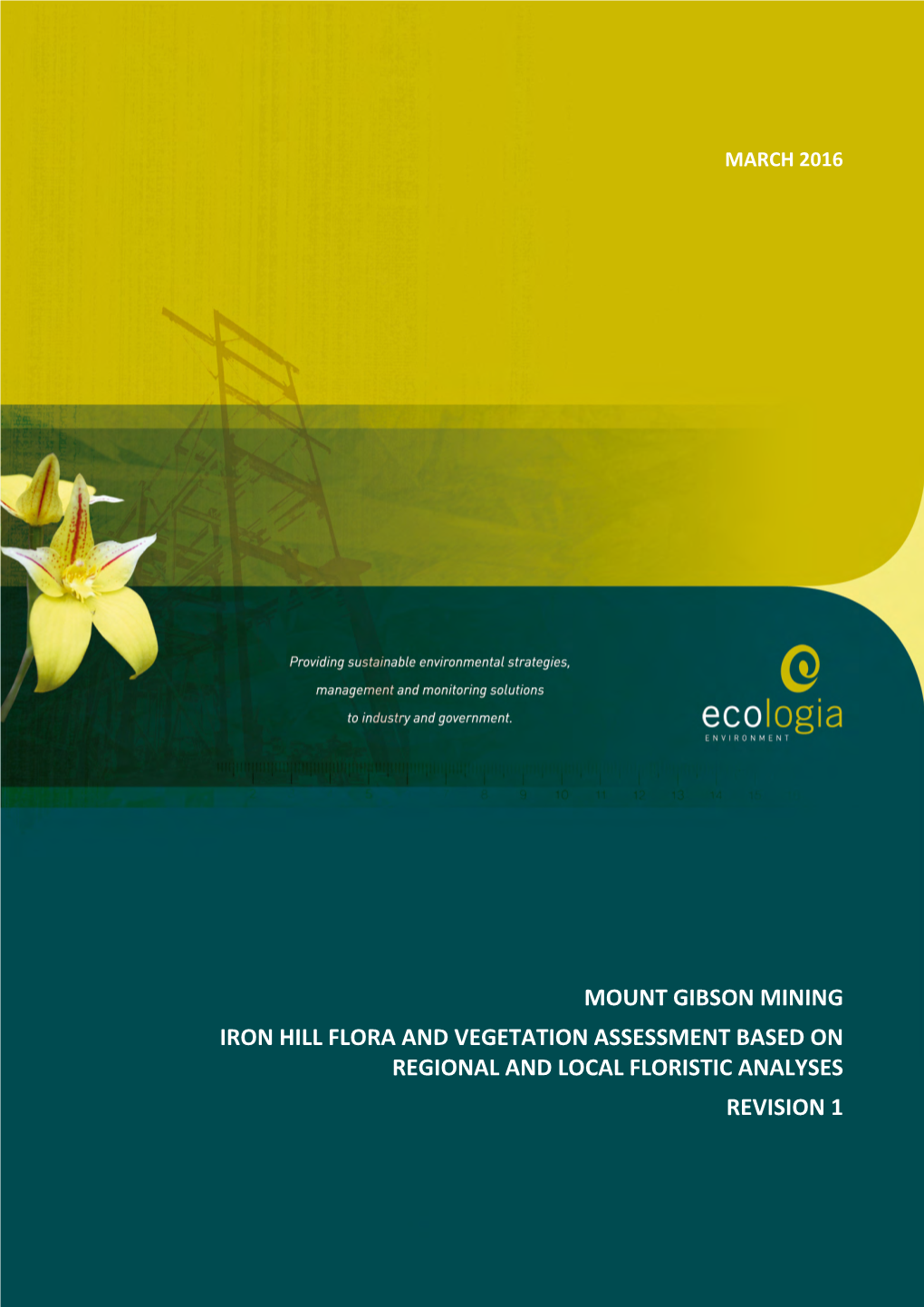 Mount Gibson Mining Iron Hill Flora and Vegetation Assessment Based on Regional and Local Floristic Analyses Revision 1