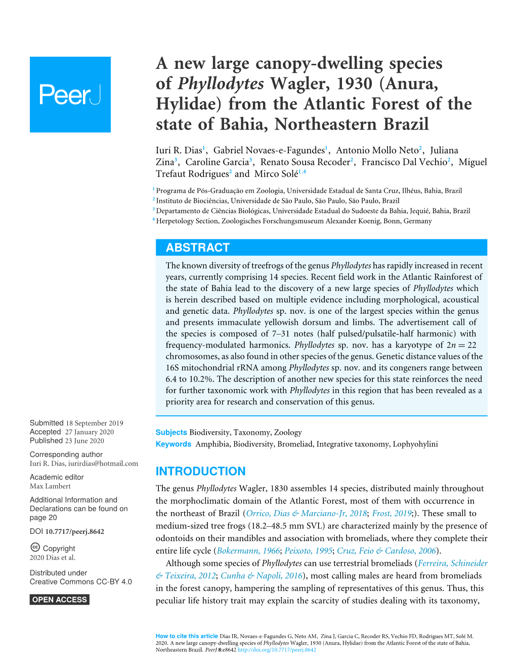 A New Large Canopy-Dwelling Species of Phyllodytes Wagler, 1930 (Anura, Hylidae) from the Atlantic Forest of the State of Bahia, Northeastern Brazil