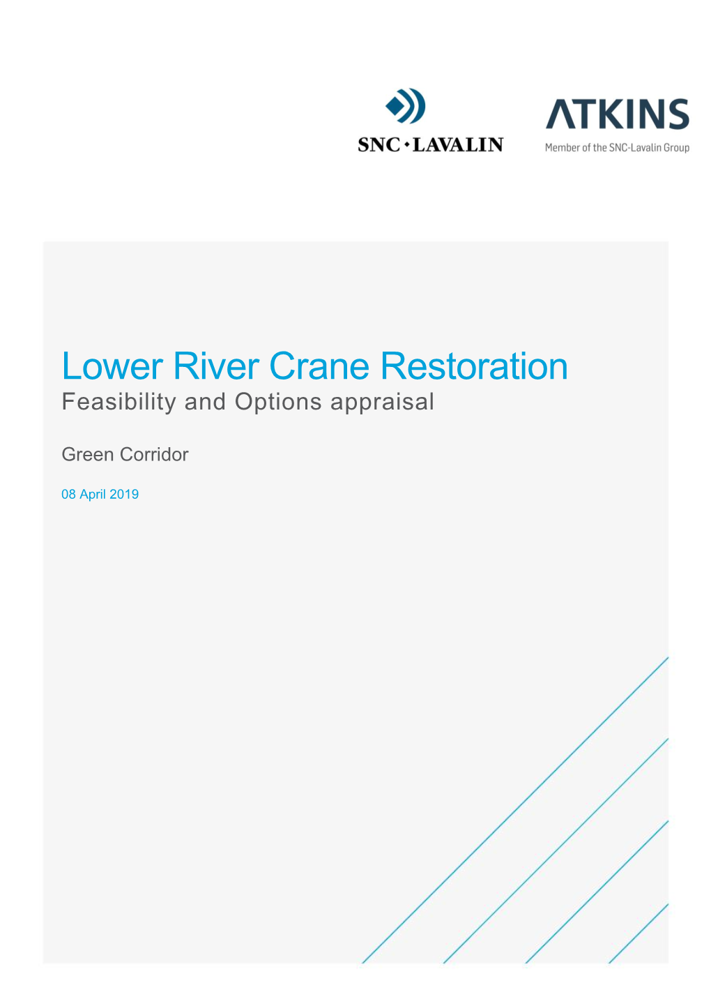 Lower River Crane Restoration Feasibility and Options Appraisal