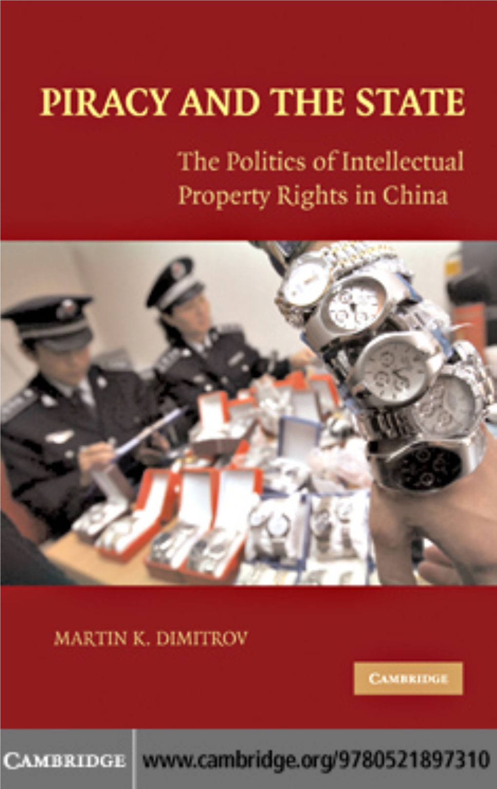 The Politics of Intellectual Property Rights in China