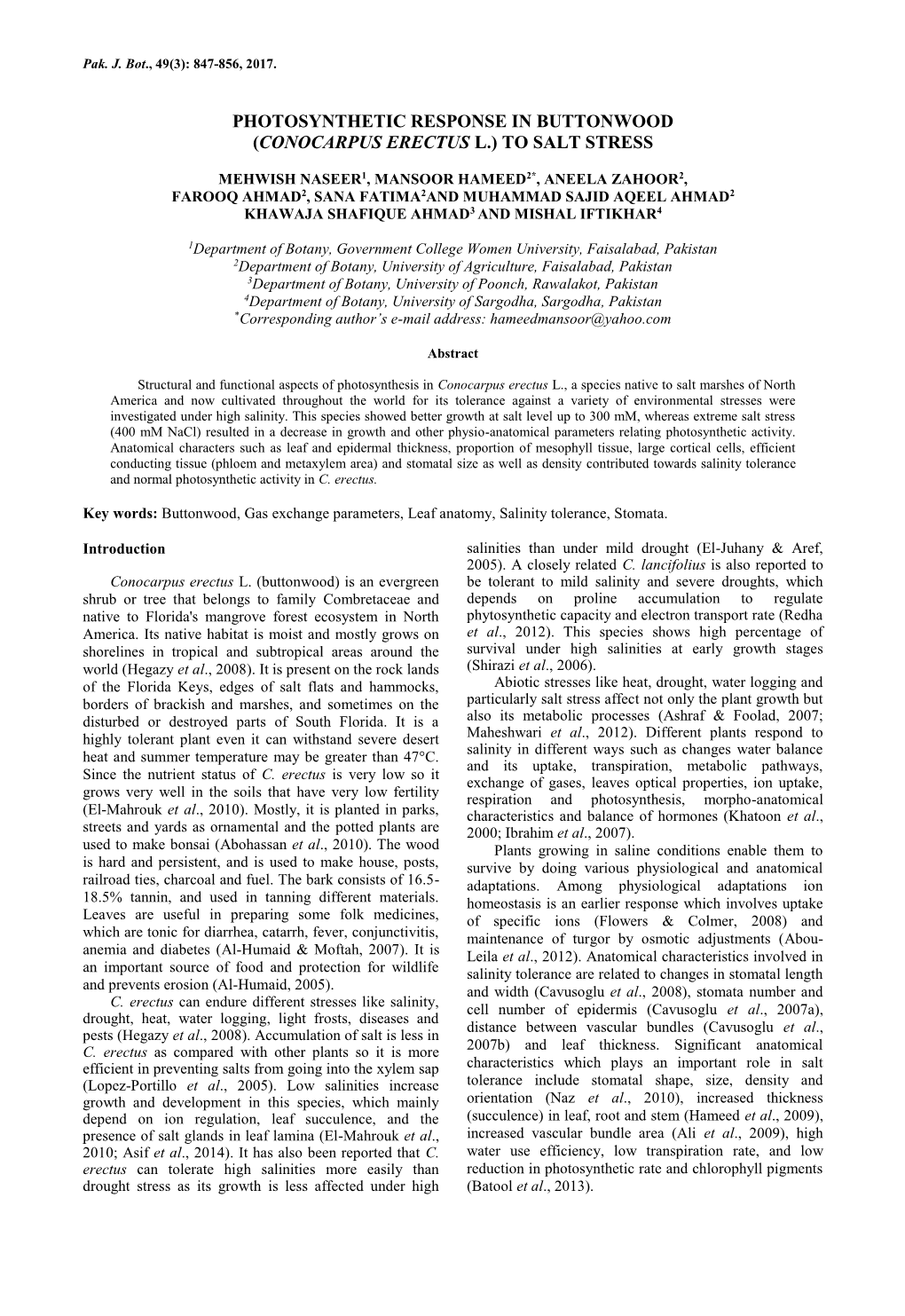 Conocarpus Erectus L.) to Salt Stress