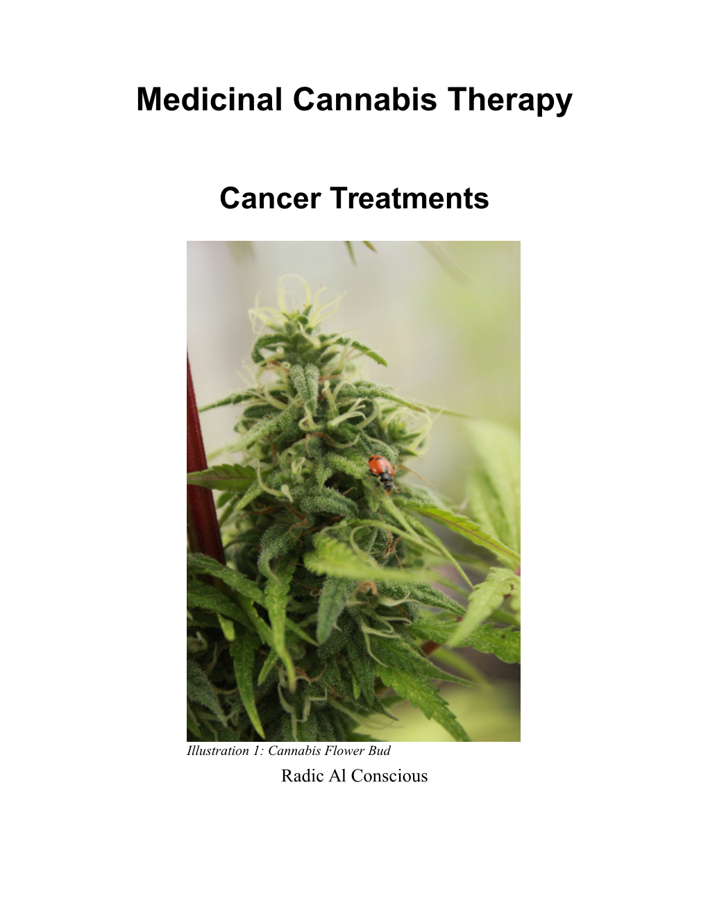 Medicinal Cannabis Therapy