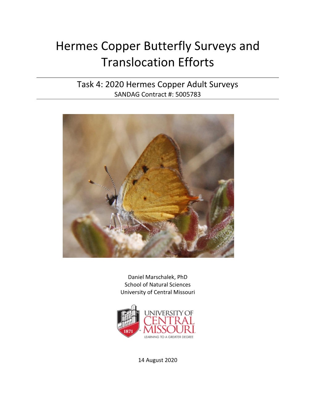 Hermes Copper Butterfly Surveys and Translocation Efforts