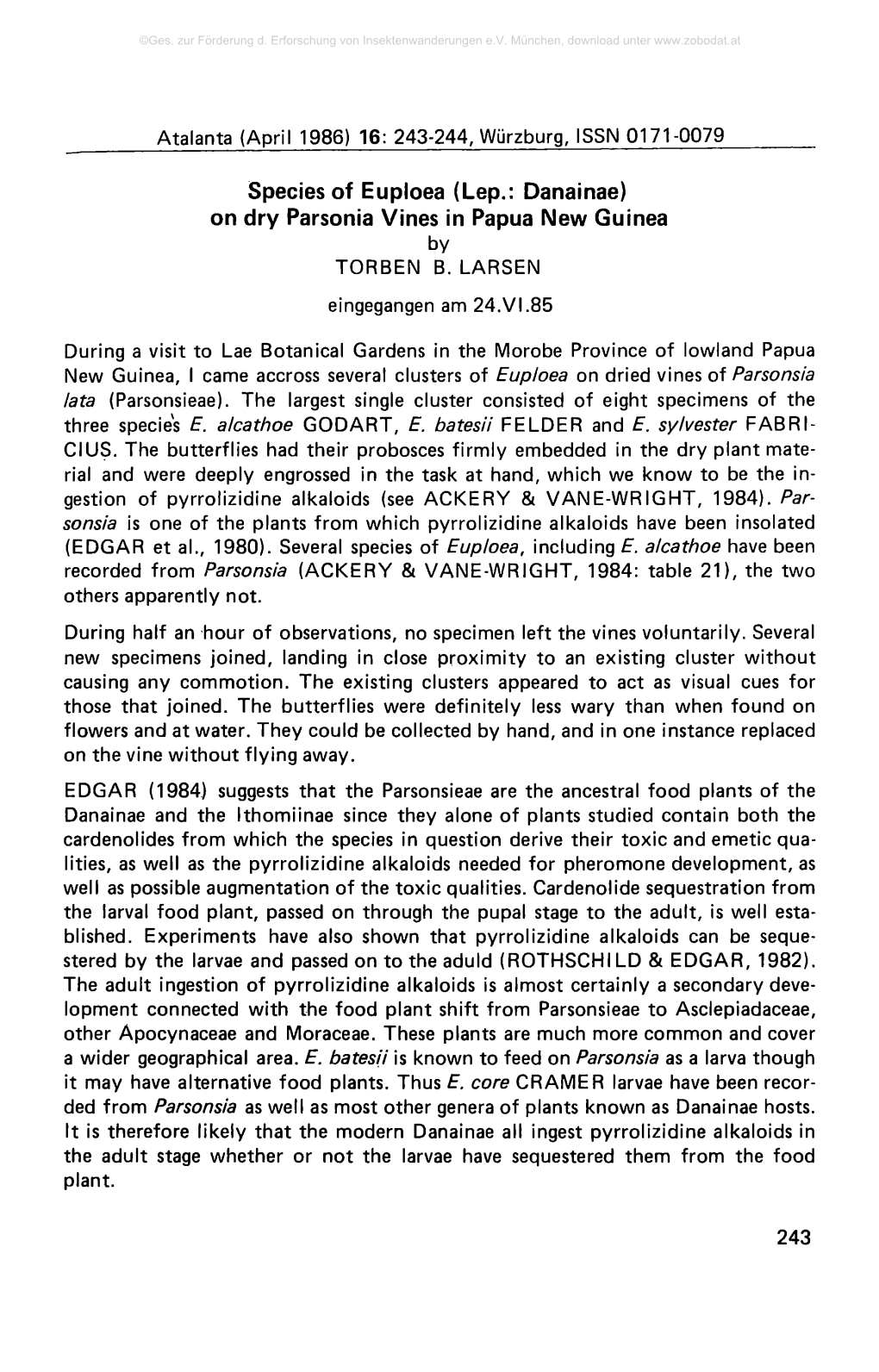 Species of Euploea (Lep.: Danainae) on Dry Parsonia Vines in Papua New Guinea by TORBEN B