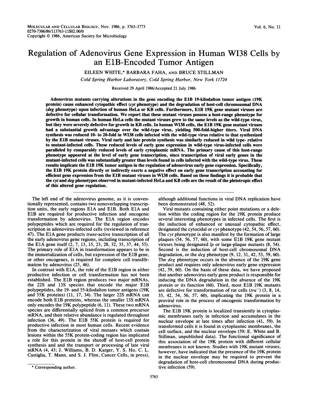 Regulation of Adenovirus Gene Expression in Human WI38 Cells By