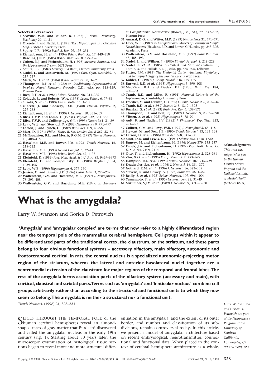 What Is the Amygdala?