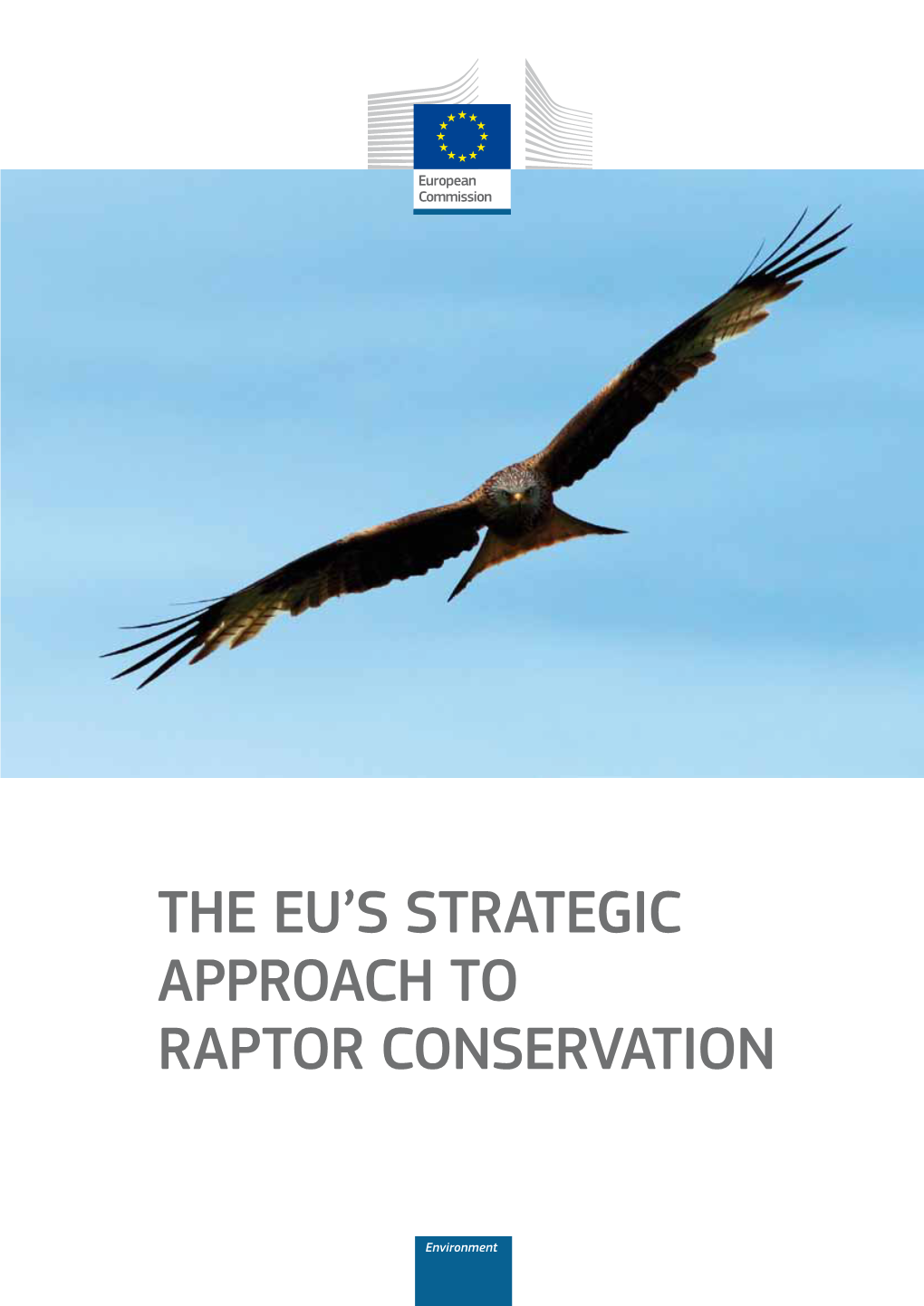 The Eu's Strategic Approach to Raptor Conservation