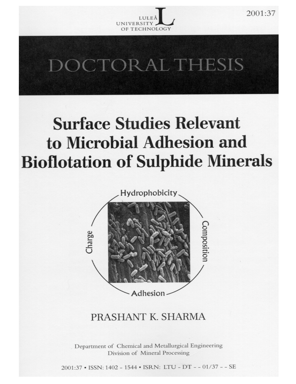 Surface Characterisation of Bacterial Cells Relevant to Mineral Industry