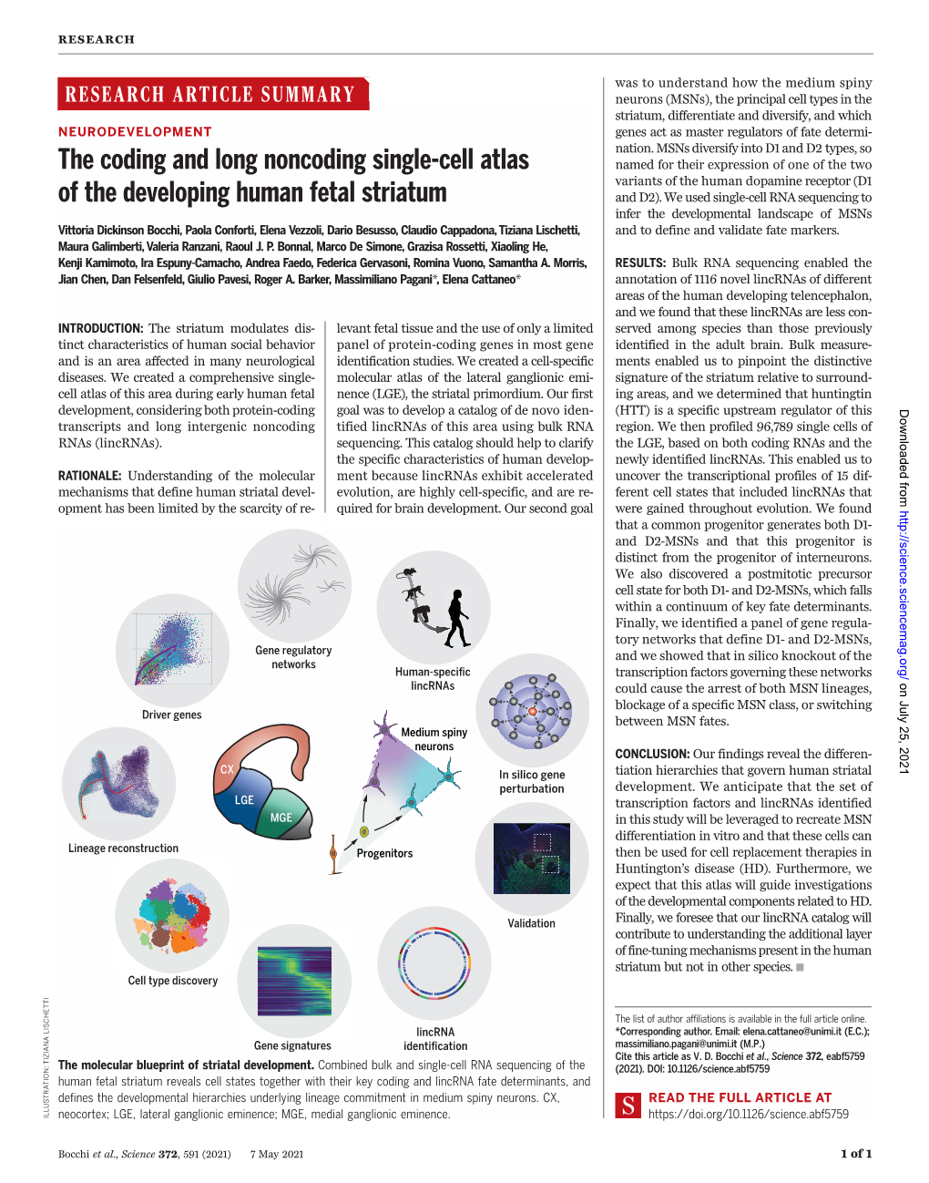 Science Journals — AAAS