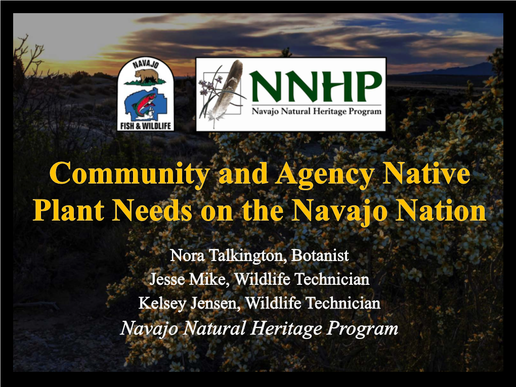 Community and Agency Native Plant Needs on the Navajo Nation