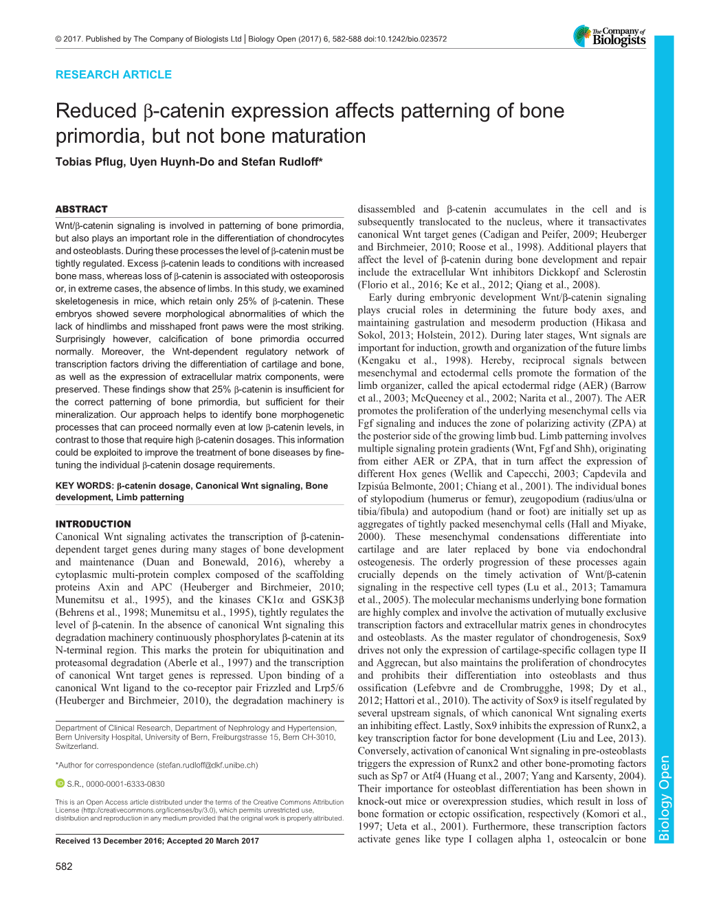 Reduced Β-Catenin Expression Affects Patterning of Bone Primordia, but Not Bone Maturation Tobias Pflug, Uyen Huynh-Do and Stefan Rudloff*