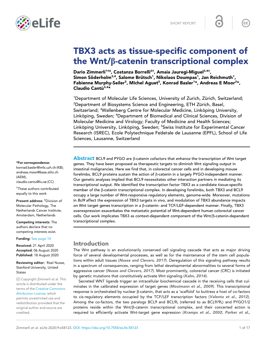 TBX3 Acts As Tissue-Specific Component of the Wnt/B-Catenin