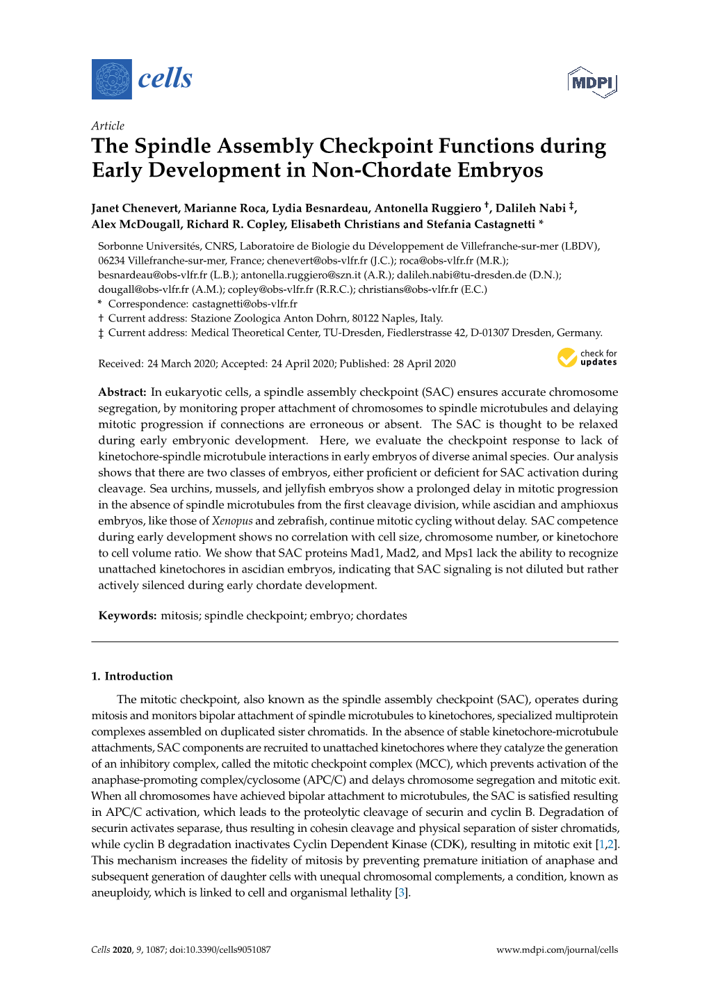 The Spindle Assembly Checkpoint Functions During Early Development in Non-Chordate Embryos