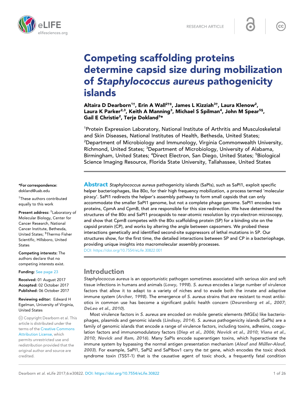 Competing Scaffolding Proteins Determine Capsid Size During