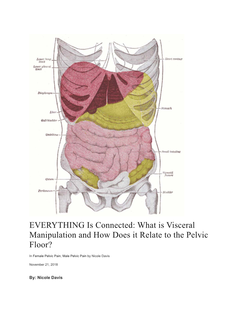 What Is Visceral Manipulation and How Does It Relate to the Pelvic Floor?