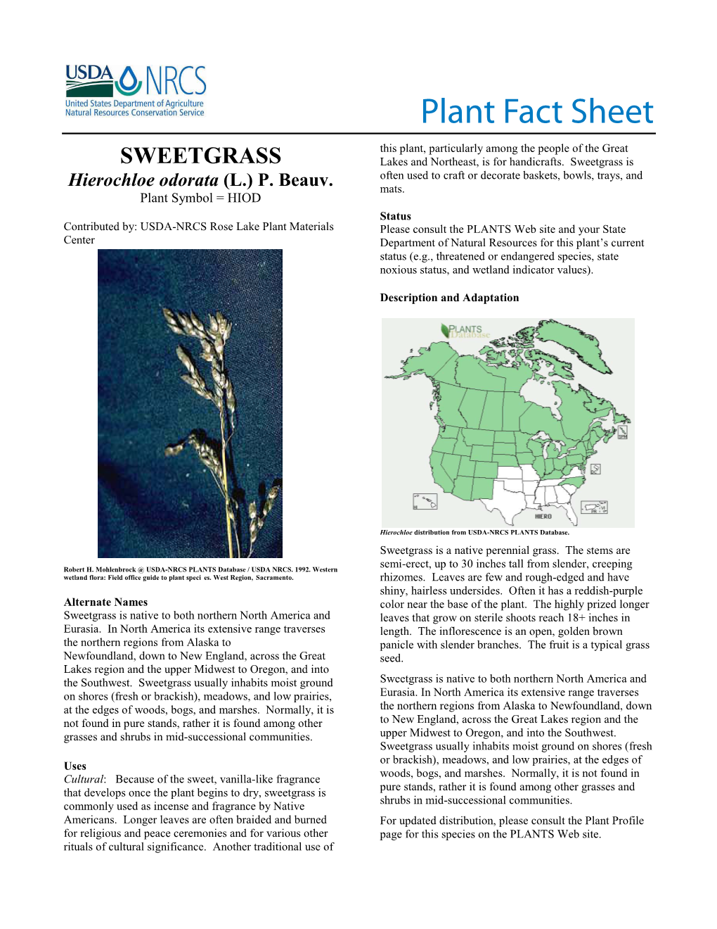 Sweetgrass Plant Fact Sheet