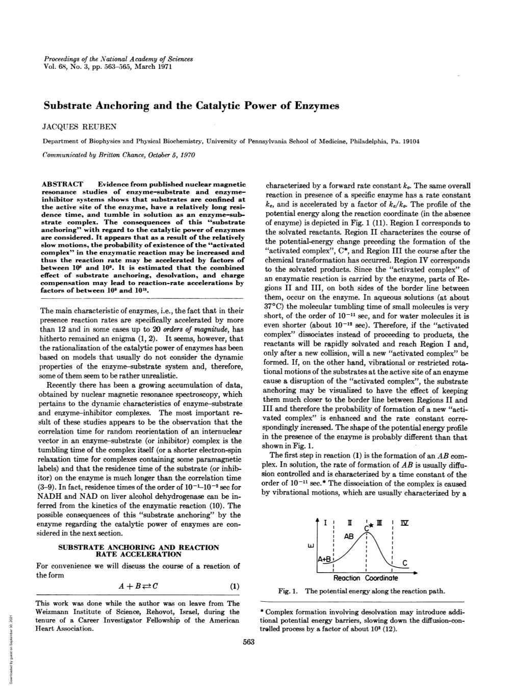 Substrate Anchoring and the Catalytic Power of Enzymes