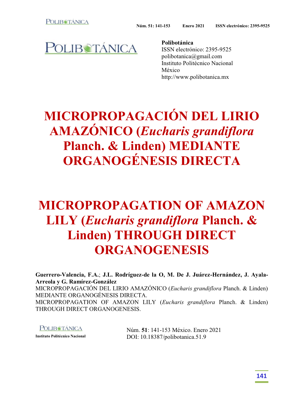 MICROPROPAGACIÓN DEL LIRIO AMAZÓNICO (Eucharis Grandiflora Planch