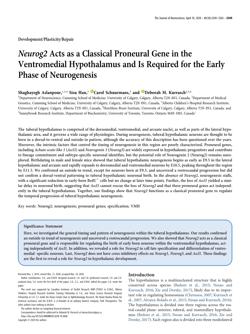 Neurog2 Acts As a Classical Proneural Gene in the Ventromedial Hypothalamus and Is Required for the Early Phase of Neurogenesis