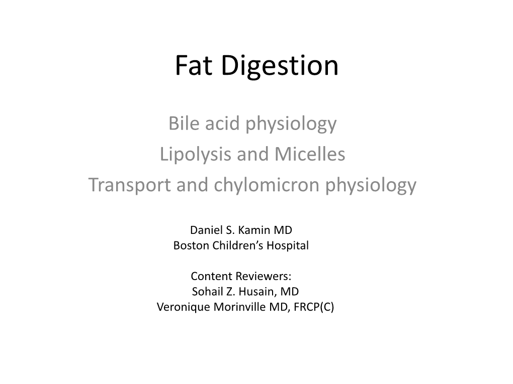 Pancreas and Fat/Lipid Digestion