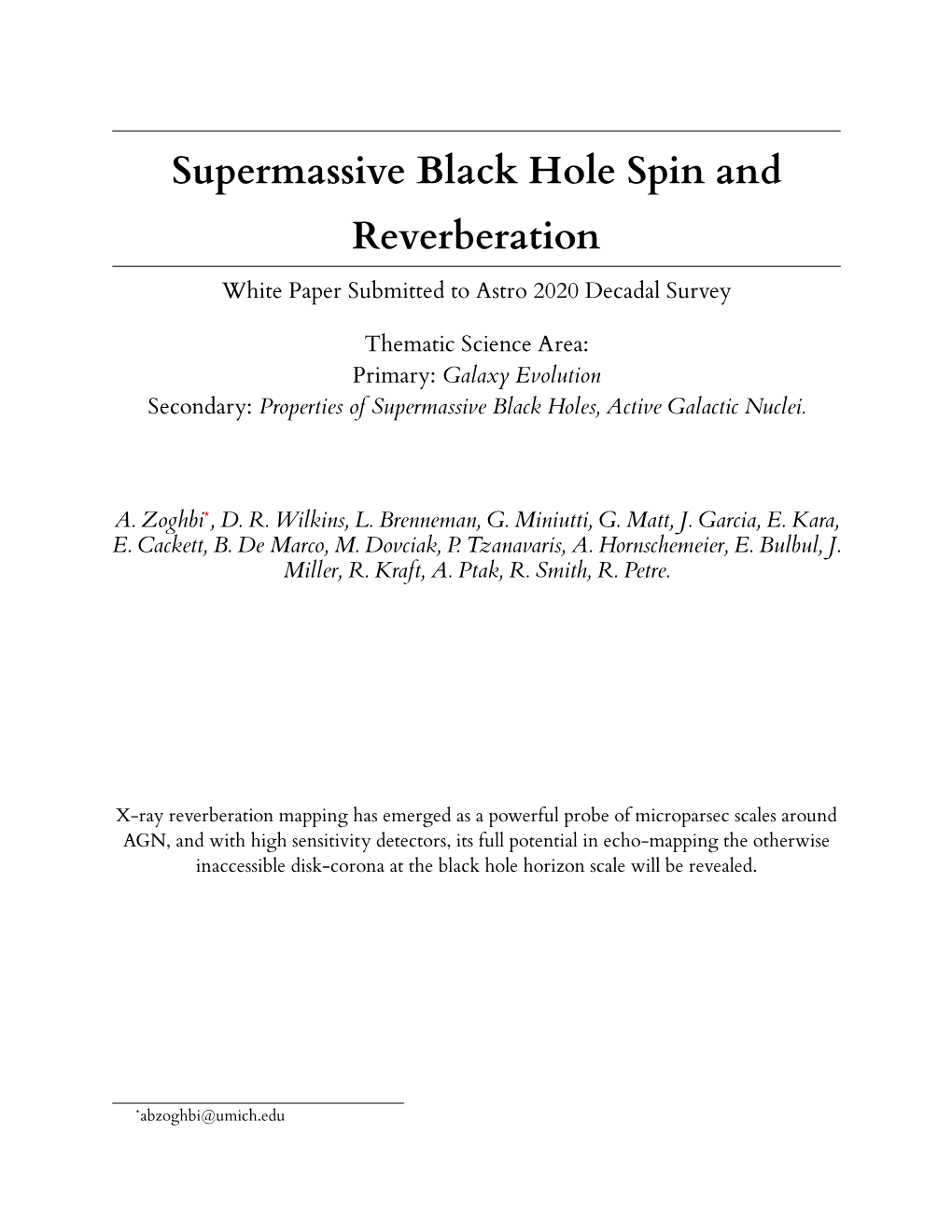 Supermassive Black Hole Spin and Reverberation