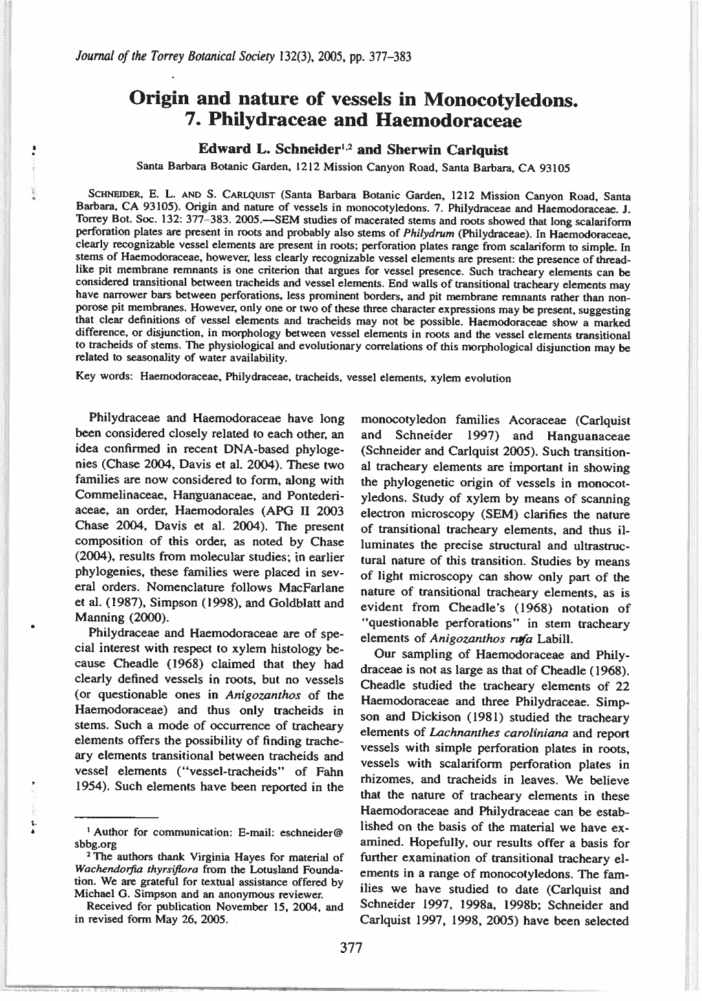 Origin and Nature of Vessels in Monocotyledons. 7. Philydraceae and Haemodoraceae