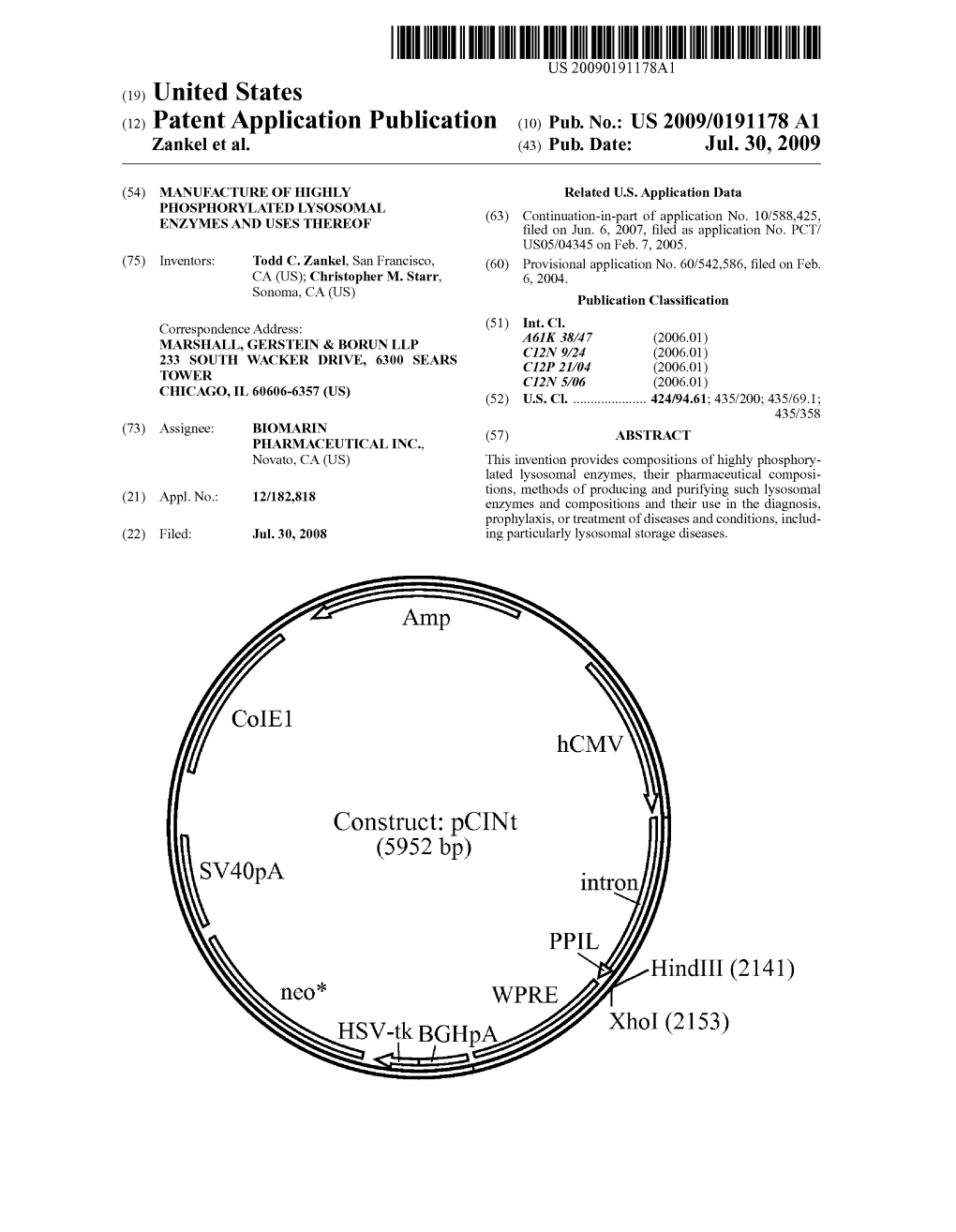 HSV-Tk Bghpa Xhoi (2153) Patent Application Publication Jul