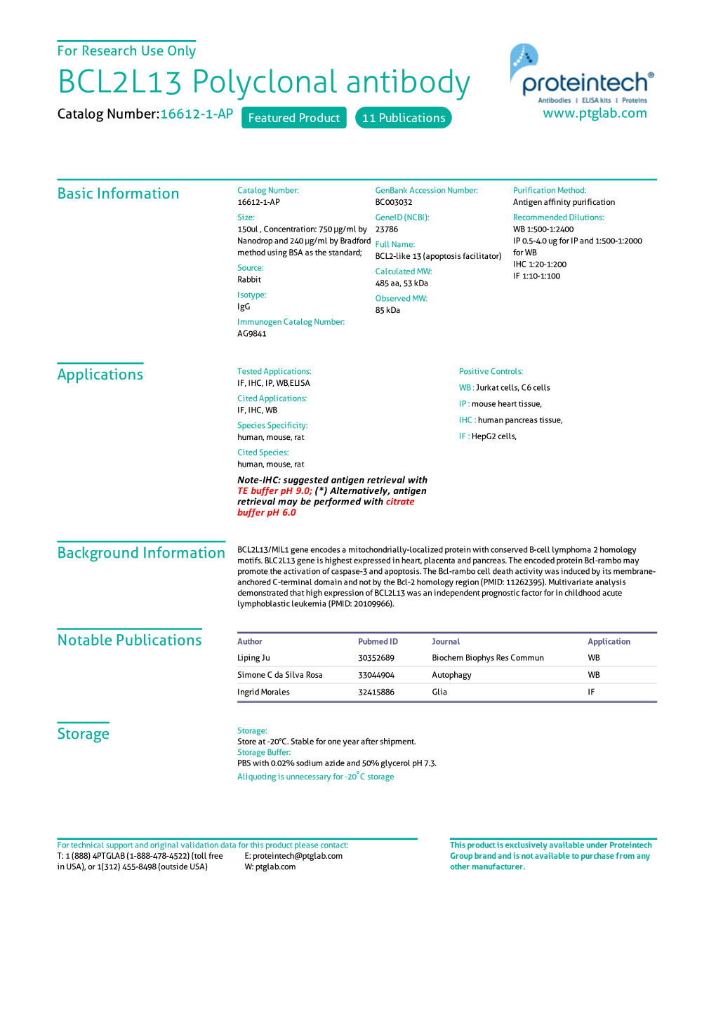 BCL2L13 Polyclonal Antibody Catalog Number:16612-1-AP Featured Product 11 Publications