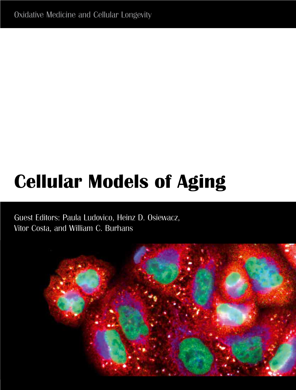 Cellular Models of Aging