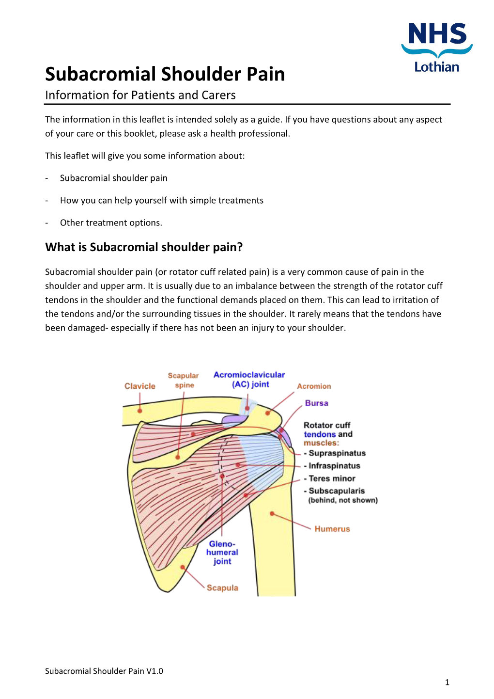 Subacromial Shoulder Pain Information for Patients and Carers