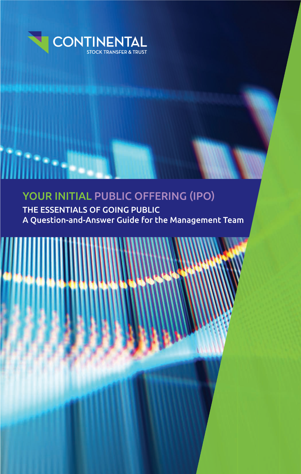 Your Initial Public Offering (Ipo)