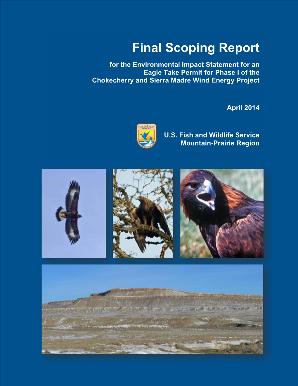 Final Scoping Report