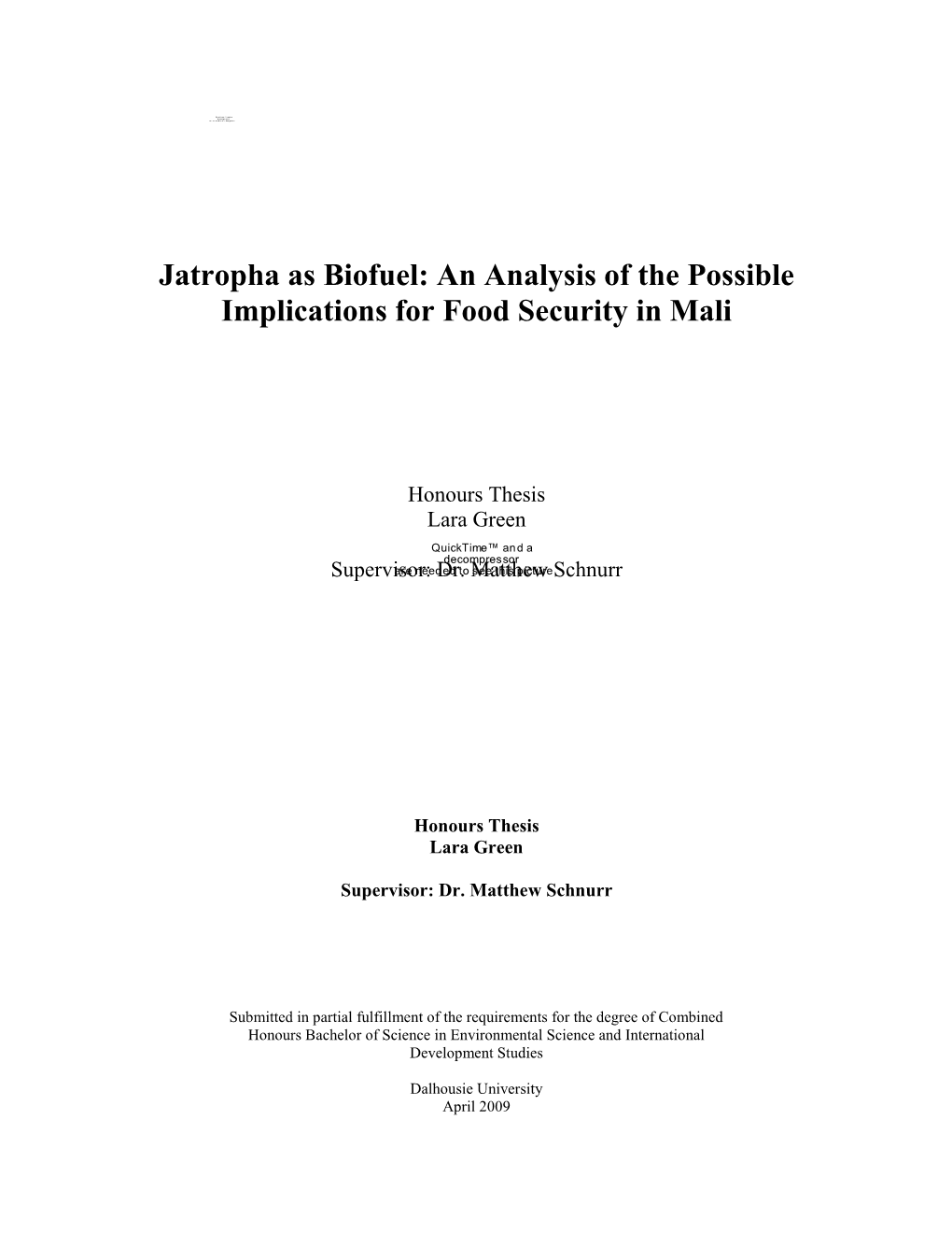 Jatropha As Biofuel: an Analysis of the Possible Implications for Food Security in Mali