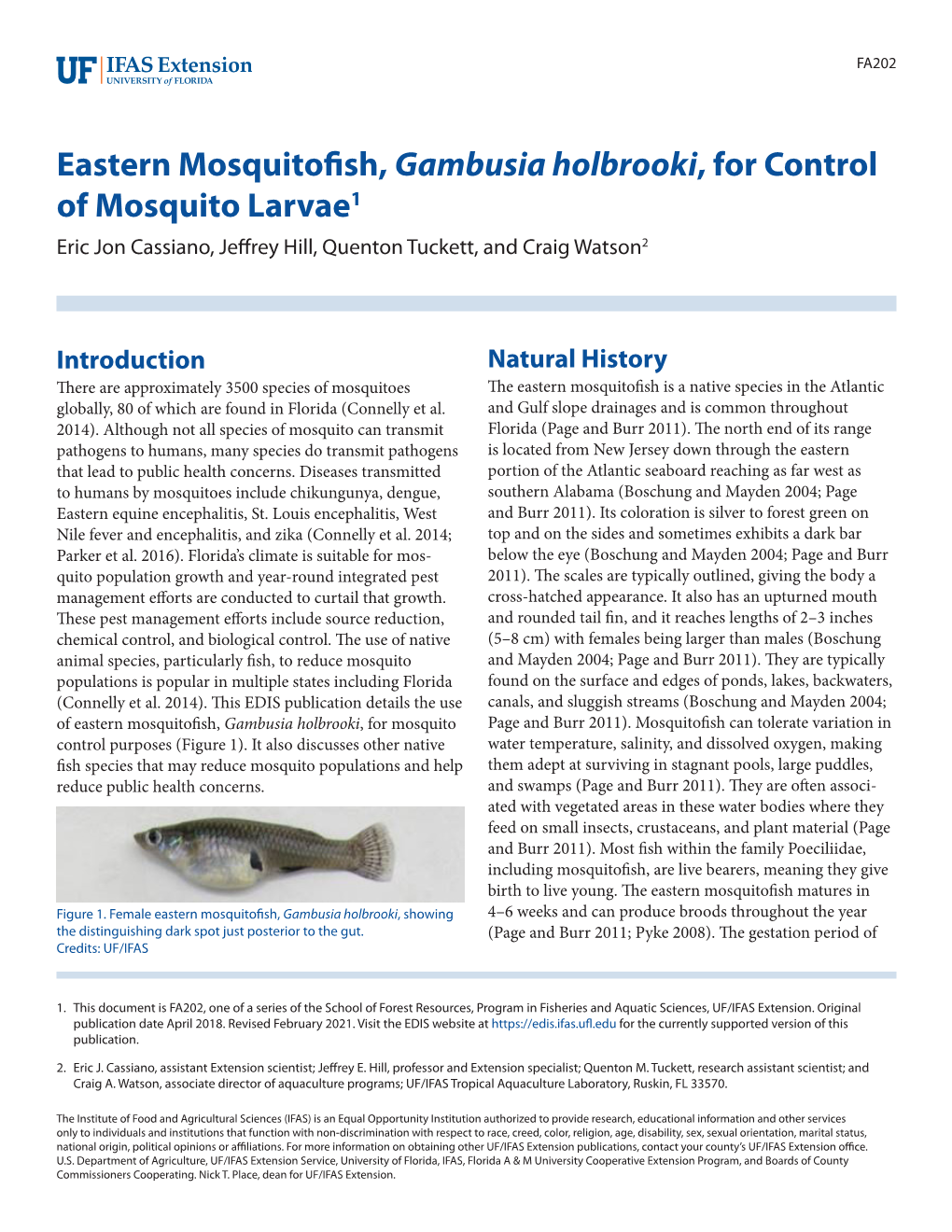 Eastern Mosquitofish, Gambusia Holbrooki, for Control of Mosquito