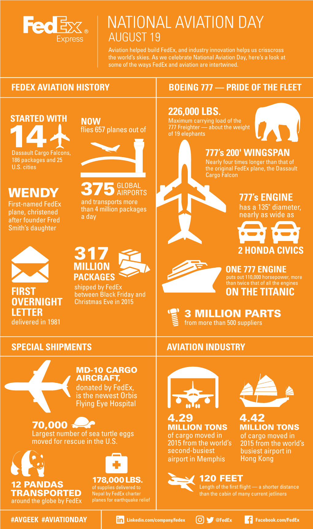 Aviation Infographic