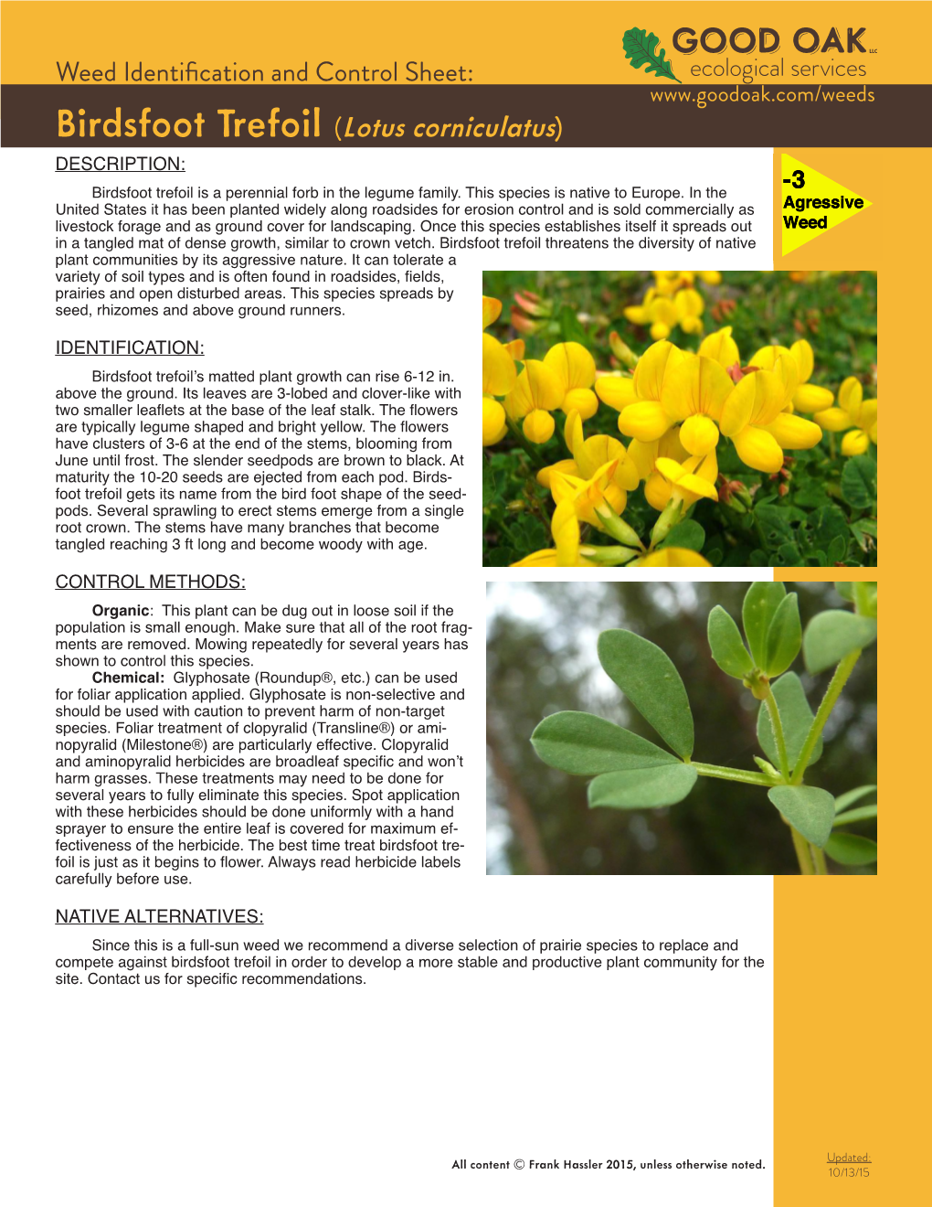 Birdsfoot Trefoil (Lotus Corniculatus) DESCRIPTION: Birdsfoot Trefoil Is a Perennial Forb in the Legume Family